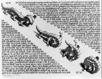 /album/m-c-escher/curl-up-1951-lithograph-jpg/